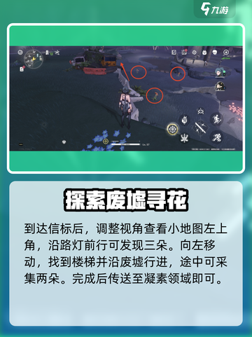 🎮鸣潮妙弋花全采集点曝光！截图4