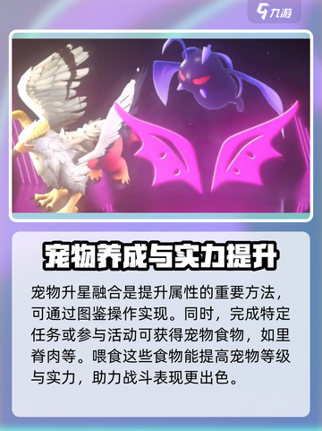 魔力宝贝复兴版🔥宠物实力飙升秘籍💡截图4