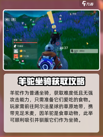 创造吧我们的星球🔥羊驼啾捕捉秘籍大公开！截图2