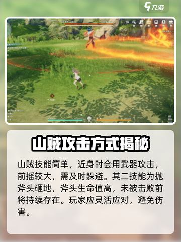 星痕共鸣山贼头目怎么打介绍截图3