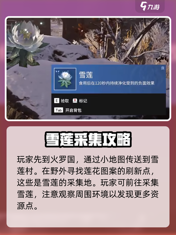 永劫无间手游：雪莲位置大揭秘💥🔥截图4