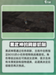 尤弥尔传奇黑武神怎么找介绍截图2