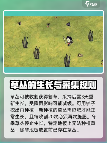 饥荒新家园💡干草资源使用攻略🎉截图2