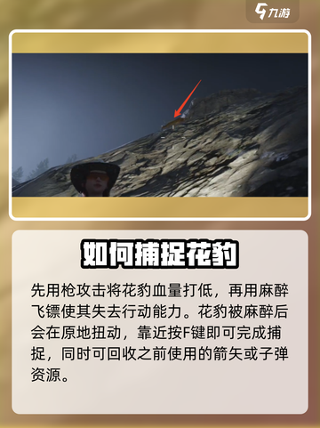 七日世界豹子怎么抓介绍截图3