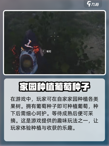 七日世界葡萄如何获取介绍截图4
