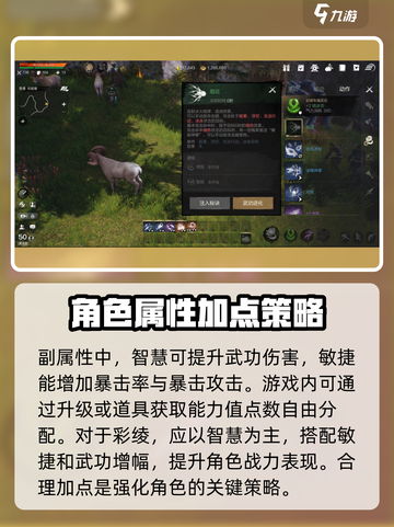 剑灵2彩绫加点🔥最强攻略来袭！新手必看💎截图3