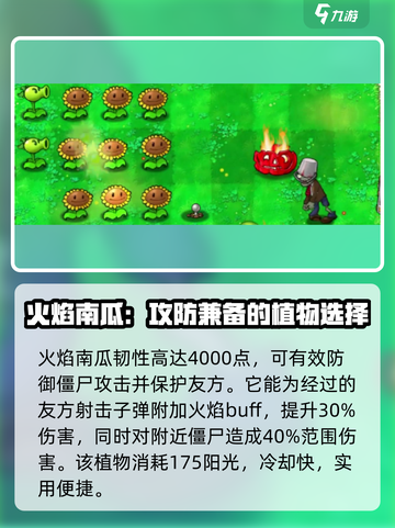 植物大战僵尸🔥杂交版火焰南瓜超厉害🎉截图2