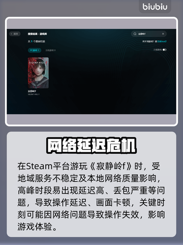 🎮寂静岭F延迟丢包？速看解决方法！截图2