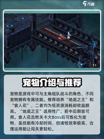 伽蓝城堡攻略大全介绍截图4