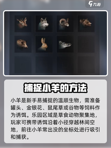 七日世界动物分布地在哪里介绍截图2