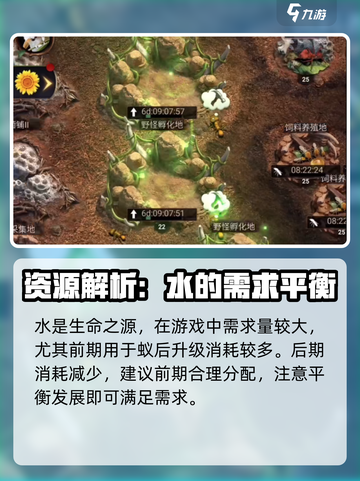 小小蚁国🔥资源大揭秘，关键道具全解析！截图3