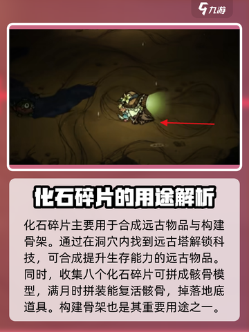 饥荒联机版🔥化石碎片大揭秘！💎截图2