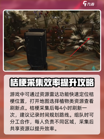 七日世界桔梗在哪里采集介绍截图4