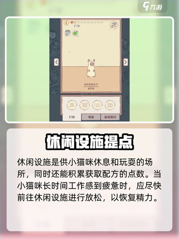 🎮猫咪和汤全设施揭秘！隐藏玩法大公开🐾截图3