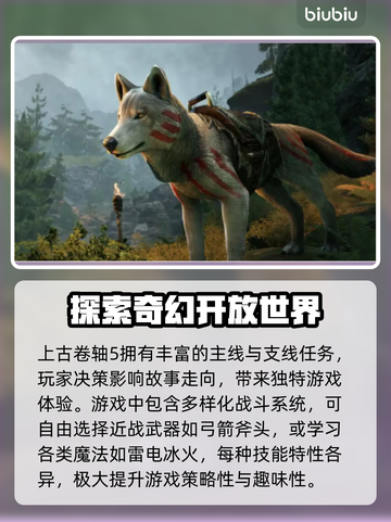 上古卷轴⚡闪退解决秘籍！玩家必看🔥截图2