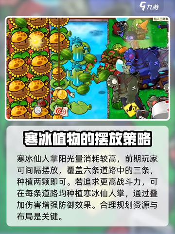 植物大战僵尸：寒冰仙人掌🔥超好用！冻住僵尸不是梦✨截图4
