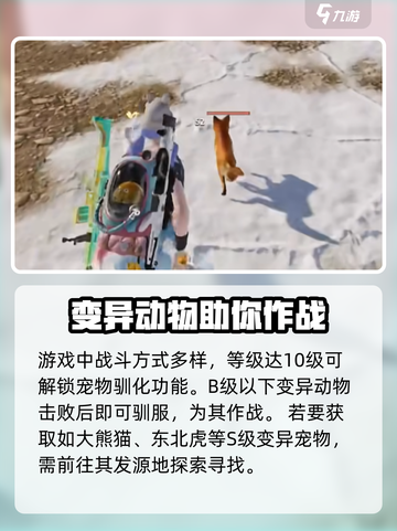 七日世界s级动物怎么获取介绍截图3