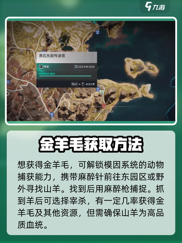 七日世界金羊毛有什么用介绍截图3