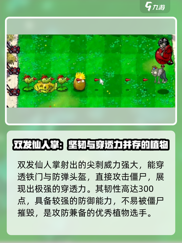 植物大战僵尸之双发仙人掌🔥超强攻略来啦！截图3
