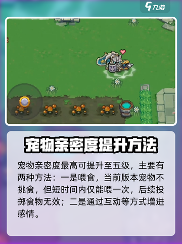 元气骑士前传✨宠物亲密度飙升秘籍🔥截图3