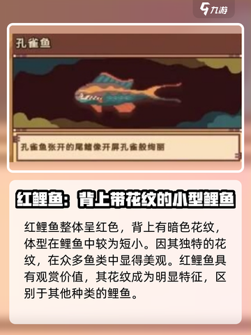 砰砰军团钓鱼图鉴分享介绍截图7