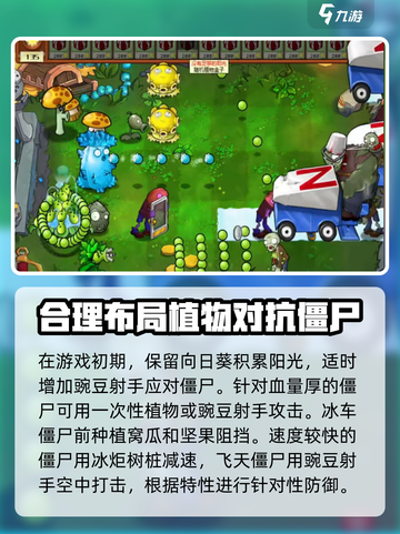 植物大战僵尸丘比特之箭🔥过关秘籍来袭！💘截图3