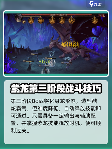 龙息神寂紫龙怎么打介绍截图5