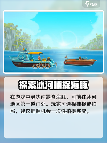 潜水员戴夫南露脊海豚在哪里介绍截图3