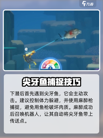 潜水员戴夫散寿司怎么做？手游大公开🎉截图4