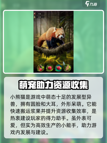野兽领主新世界🔥小熊猫萌宠详解来啦！截图2