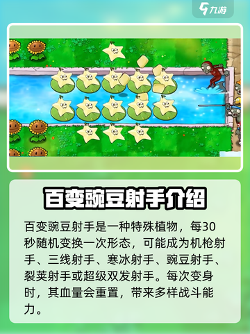 植物大战僵尸无双版🔥最强植物阵容分享！截图2