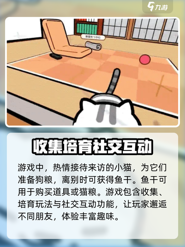 猫咪后院2夏季上线时间一览介绍截图4