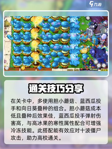 植物大战僵尸高冰果2通关秘籍💥，小白也能轻松过关！🌱截图4