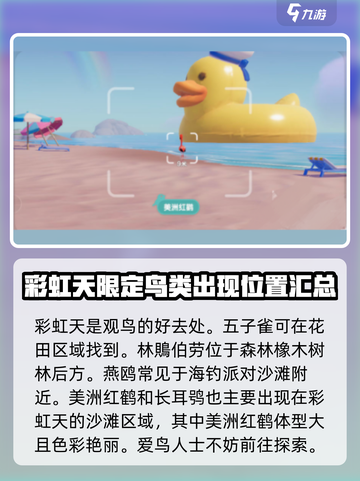 心动小镇🔥必看！特殊鸟类位置大全🎉截图3