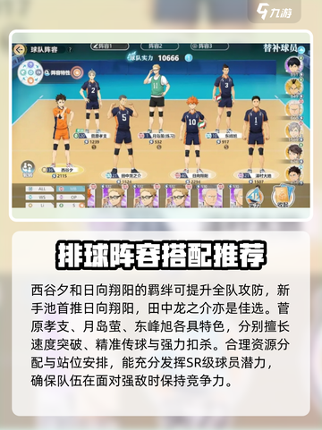 排球少年手游🔥乌野低配队最强阵容搭配✨截图4