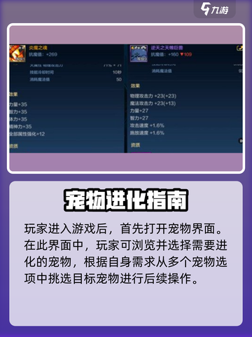 地下城与勇士手游宠物进化🔥DNF玩家必看！截图2