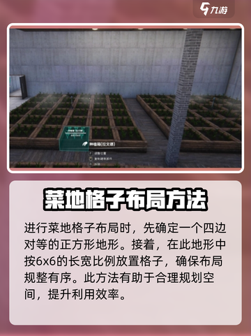 七日世界菜地布局💥种地格子摆放教学🌱截图2