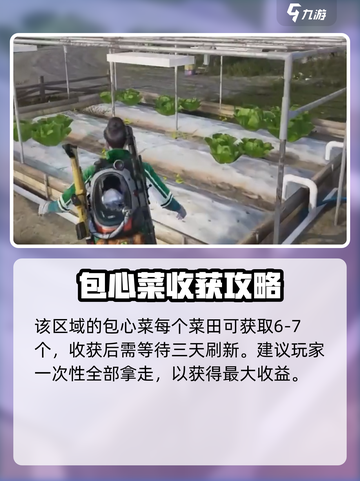 七日世界包心菜如何获取介绍截图5