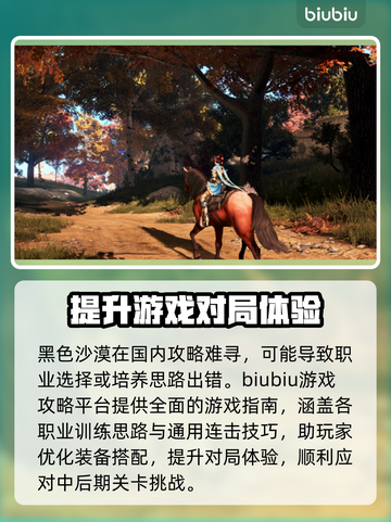 黑色沙漠🚀玩家必看！顶级加速器推荐⚡截图3