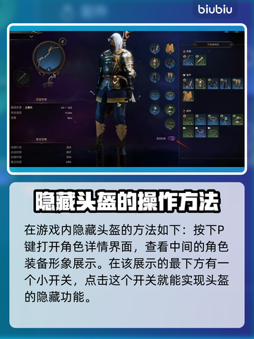王权与自由国际服😎隐藏头盔方法大公开！截图2