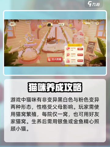 猫咪公寓2生猫咪怎么玩介绍截图4