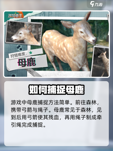 逆境重生母鹿抓捕🔥超简单攻略来啦！🎮截图2