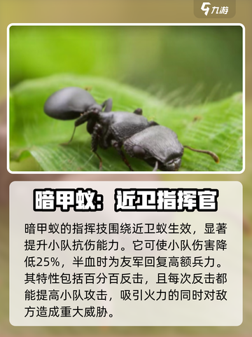 小小蚁国🔥新赛季最强蚂蚁推荐ANTS截图4