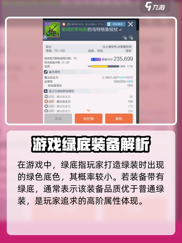 冒险岛枫之传说：绿底真相大揭秘！🎮🔥截图2