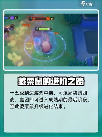 宝可梦大集结藏栗鼠怎么进化介绍截图6
