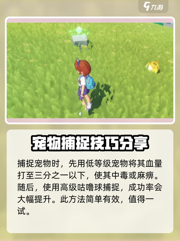 洛克王国世界格兰种子在哪介绍截图4