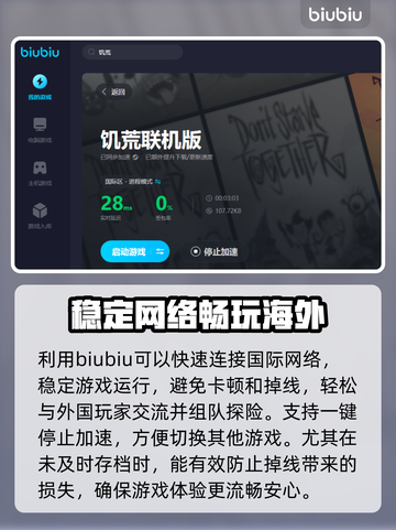 饥荒联机版卡顿？这样解决立马流畅🔥🎮截图4