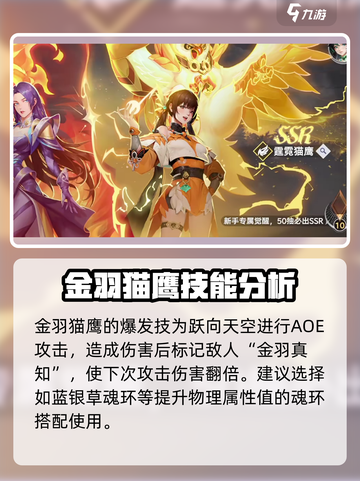 斗罗大陆猎魂世界金羽猫鹰是什么介绍截图4