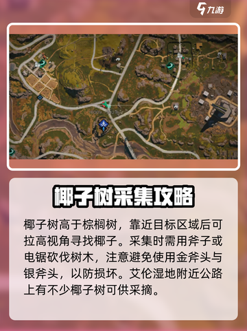 七日世界椰子在哪介绍截图3