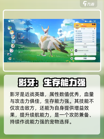 酷比大陆宠物培养哪个好介绍截图5